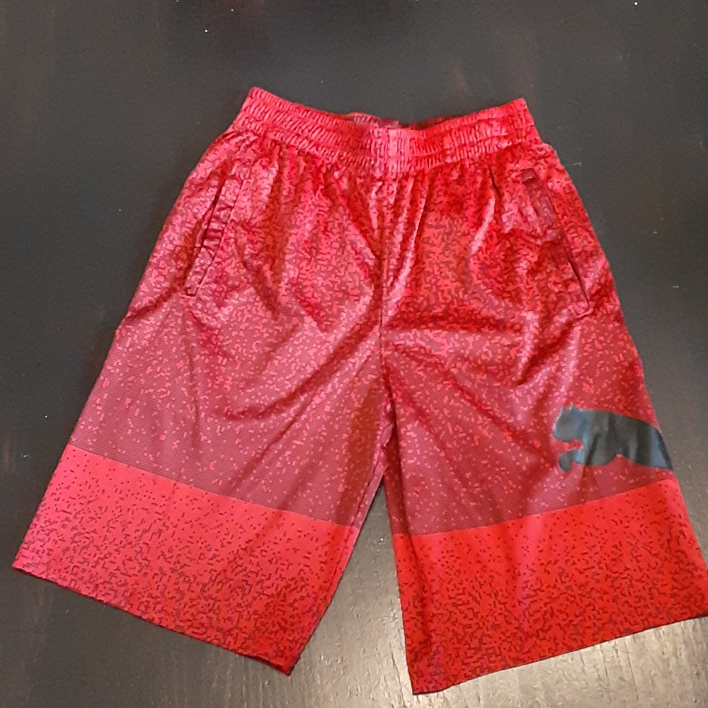 Short puma